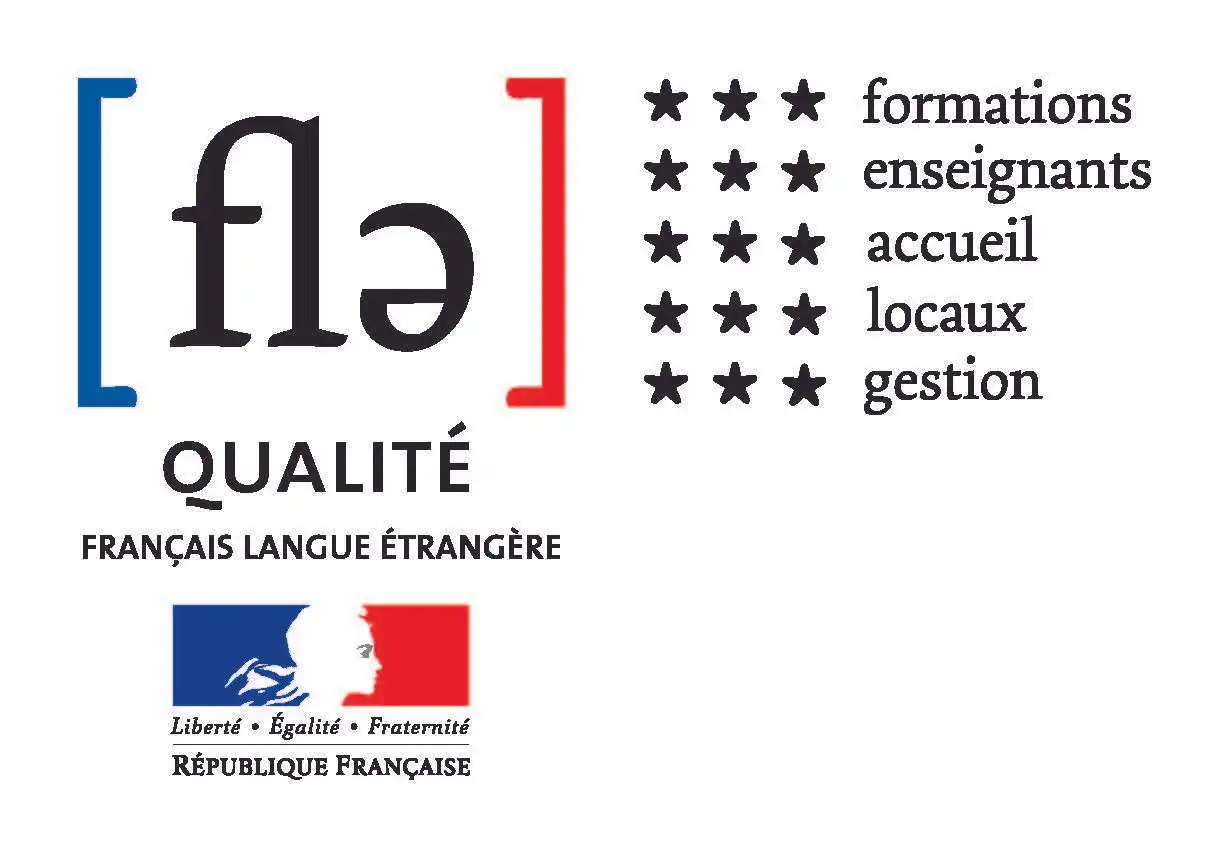 Qualité français langue étangère, Sciences Po a une note de 3 étoiles à tous les critères